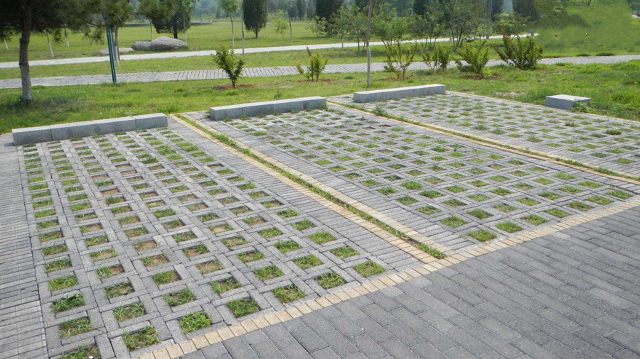 1566513502551304.jpg c02.jpg